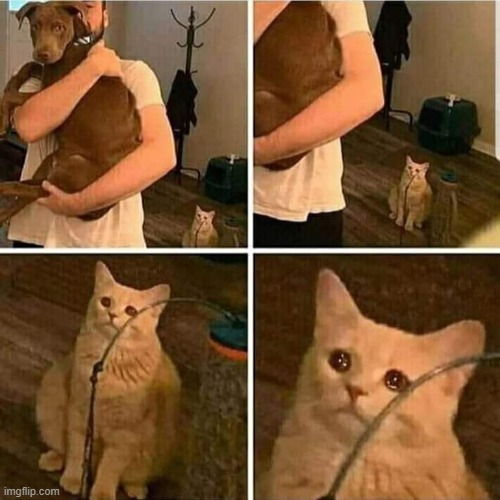 . | image tagged in sad cat holding dog | made w/ Imgflip meme maker