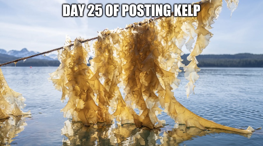 Kelp | DAY 25 OF POSTING KELP | image tagged in kelp | made w/ Imgflip meme maker