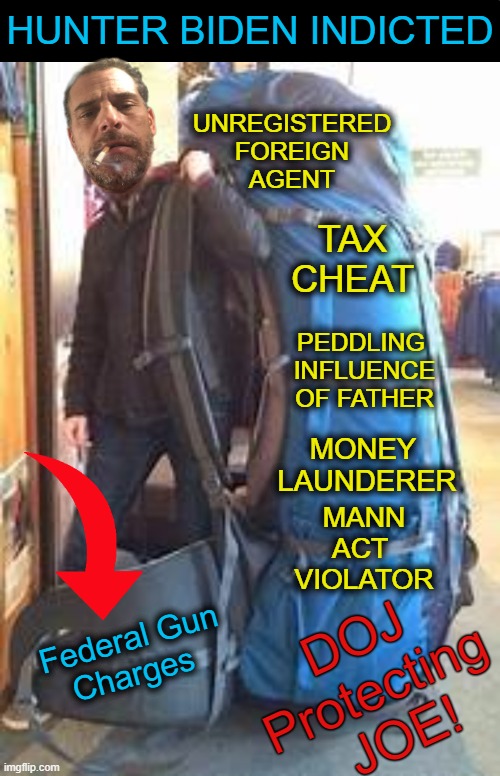 Baggage? | HUNTER BIDEN INDICTED; UNREGISTERED
FOREIGN
AGENT; TAX CHEAT; PEDDLING 
INFLUENCE
OF FATHER; MONEY 
LAUNDERER; MANN ACT 
VIOLATOR; DOJ 
Protecting 
JOE! Federal Gun
Charges | image tagged in politics,biden crime family,hunter biden,joe biden,corruption,doj | made w/ Imgflip meme maker