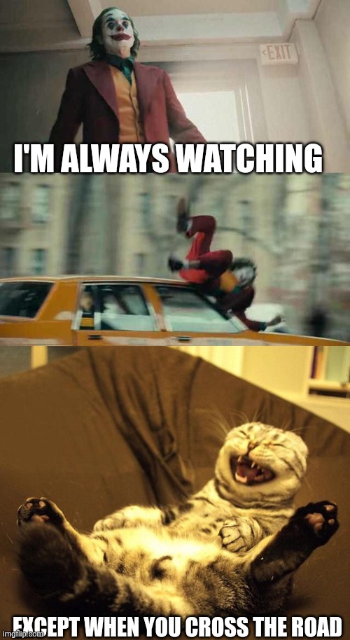 I'M ALWAYS WATCHING; EXCEPT WHEN YOU CROSS THE ROAD | image tagged in joker getting hit by a car,laughing cat | made w/ Imgflip meme maker