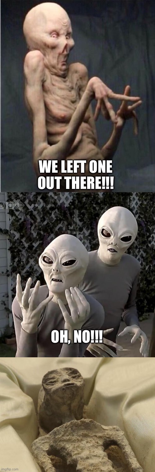 Mexican Alien | WE LEFT ONE OUT THERE!!! OH, NO!!! | image tagged in grossed out alien,aliens | made w/ Imgflip meme maker