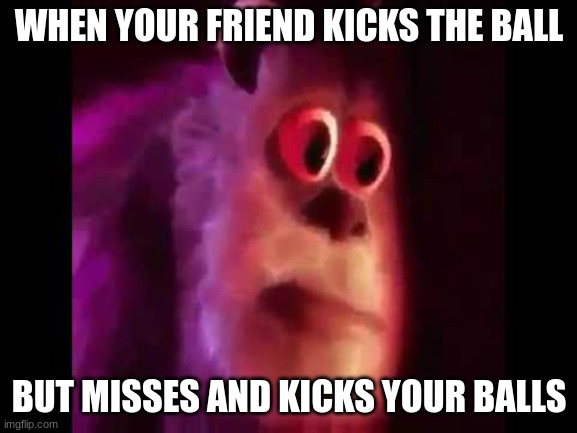 Sully Groan | WHEN YOUR FRIEND KICKS THE BALL; BUT MISSES AND KICKS YOUR BALLS | image tagged in sully groan,funny | made w/ Imgflip meme maker