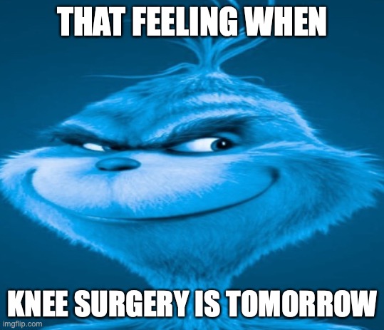 The blue grinch | THAT FEELING WHEN; KNEE SURGERY IS TOMORROW | image tagged in the blue grinch | made w/ Imgflip meme maker