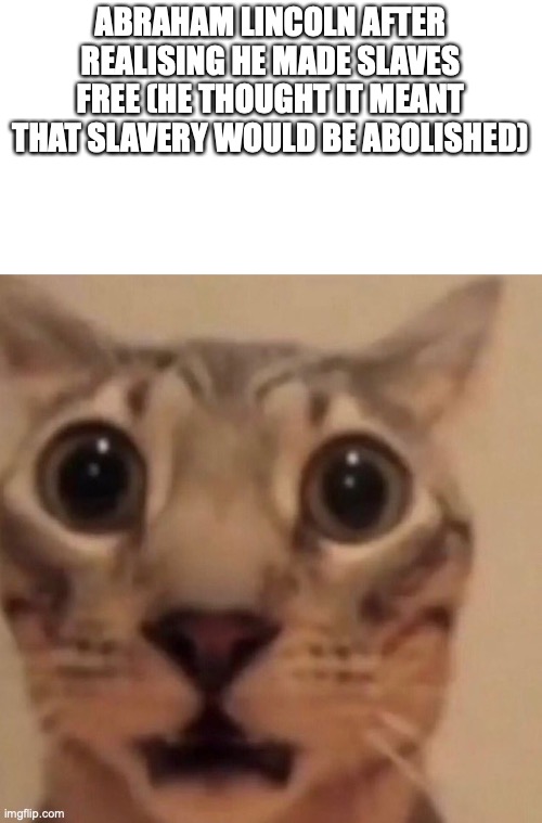 Flabbergasted cat | ABRAHAM LINCOLN AFTER REALISING HE MADE SLAVES FREE (HE THOUGHT IT MEANT THAT SLAVERY WOULD BE ABOLISHED) | image tagged in flabbergasted cat | made w/ Imgflip meme maker