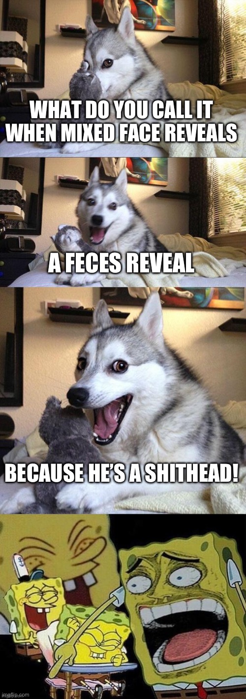 He really is | WHAT DO YOU CALL IT WHEN MIXED FACE REVEALS; A FECES REVEAL; BECAUSE HE’S A SHITHEAD! | image tagged in memes,bad pun dog | made w/ Imgflip meme maker