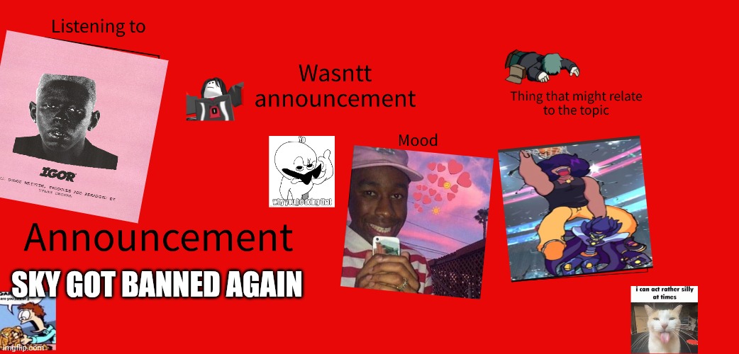 New wasntt announcement | SKY GOT BANNED AGAIN | image tagged in new wasntt announcement | made w/ Imgflip meme maker