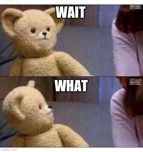 Wait what?? | WAIT WHAT | image tagged in wait what | made w/ Imgflip meme maker