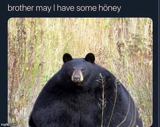 image tagged in memes,funny | made w/ Imgflip meme maker