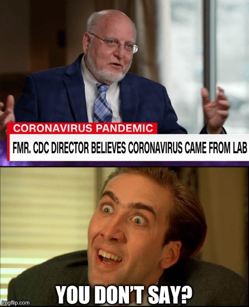 I’ve known since the beginning. | YOU DON’T SAY? | image tagged in dr robert redfield,you don't say - nicholas cage,covid 19,politics,government corruption,cdc | made w/ Imgflip meme maker