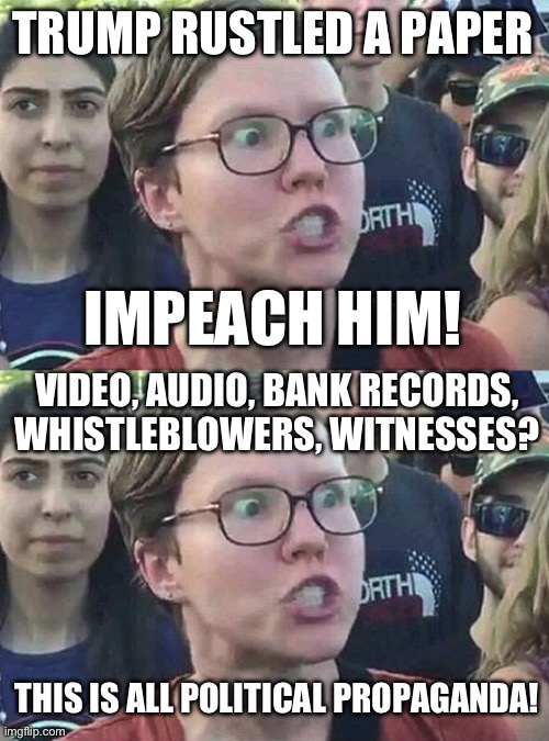 Typical liberal head in the sand hypocrisy. | TRUMP RUSTLED A PAPER; IMPEACH HIM! VIDEO, AUDIO, BANK RECORDS, WHISTLEBLOWERS, WITNESSES? THIS IS ALL POLITICAL PROPAGANDA! | image tagged in triggered liberal,liberal hypocrisy,politics,stupid people,media lies,government corruption | made w/ Imgflip meme maker