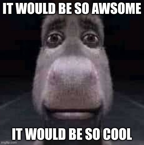 Donkey staring | IT WOULD BE SO AWSOME IT WOULD BE SO COOL | image tagged in donkey staring | made w/ Imgflip meme maker