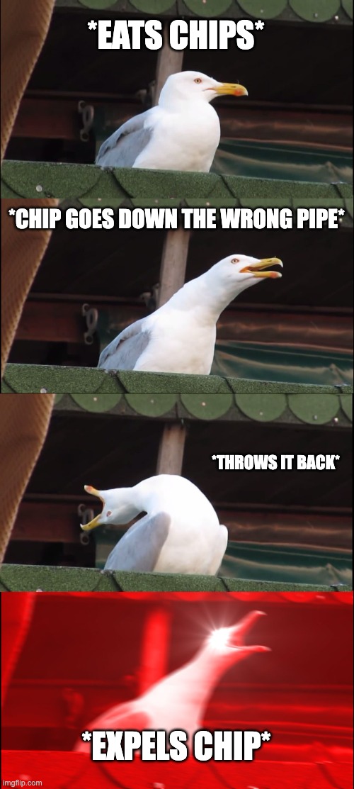 Choking be like: | *EATS CHIPS*; *CHIP GOES DOWN THE WRONG PIPE*; *THROWS IT BACK*; *EXPELS CHIP* | image tagged in memes,inhaling seagull | made w/ Imgflip meme maker