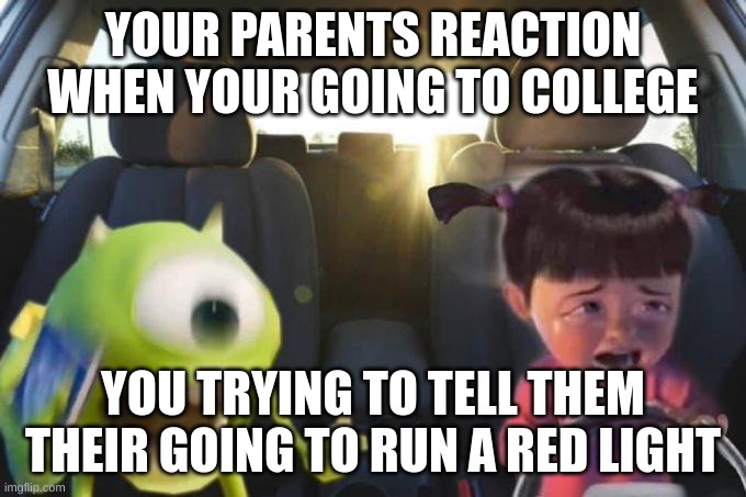 he dead | YOUR PARENTS REACTION WHEN YOUR GOING TO COLLEGE; YOU TRYING TO TELL THEM THEIR GOING TO RUN A RED LIGHT | image tagged in driving boo | made w/ Imgflip meme maker