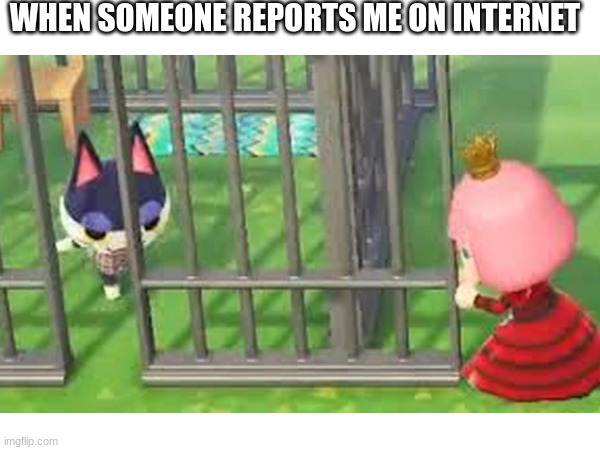 banned for 24 days | WHEN SOMEONE REPORTS ME ON INTERNET | image tagged in hilarious memes | made w/ Imgflip meme maker