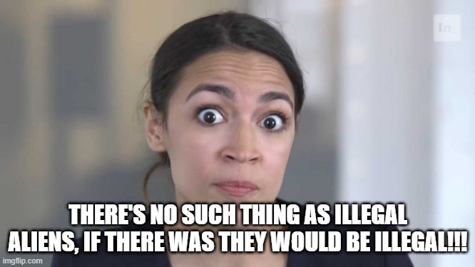 Crazy Alexandria Ocasio-Cortez | THERE'S NO SUCH THING AS ILLEGAL ALIENS, IF THERE WAS THEY WOULD BE ILLEGAL!!! | image tagged in crazy alexandria ocasio-cortez | made w/ Imgflip meme maker