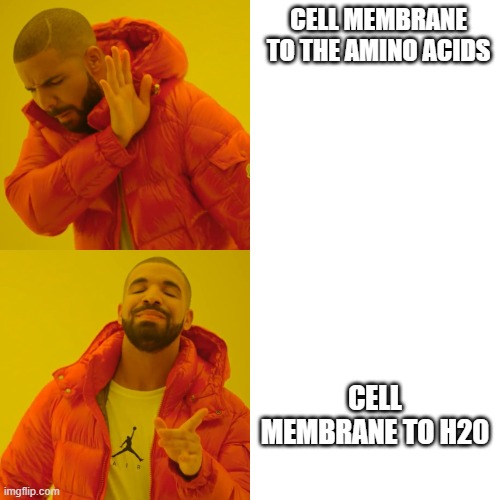 CELL MEMBRANE TO THE AMINO ACIDS; CELL MEMBRANE TO H20 | image tagged in drake hotline bling | made w/ Imgflip meme maker