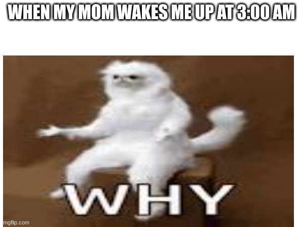 3:00 am | WHEN MY MOM WAKES ME UP AT 3:00 AM | image tagged in memes | made w/ Imgflip meme maker