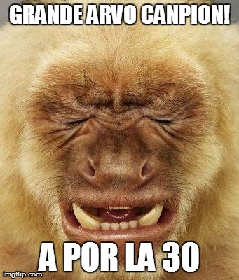 7z6l6.jpg