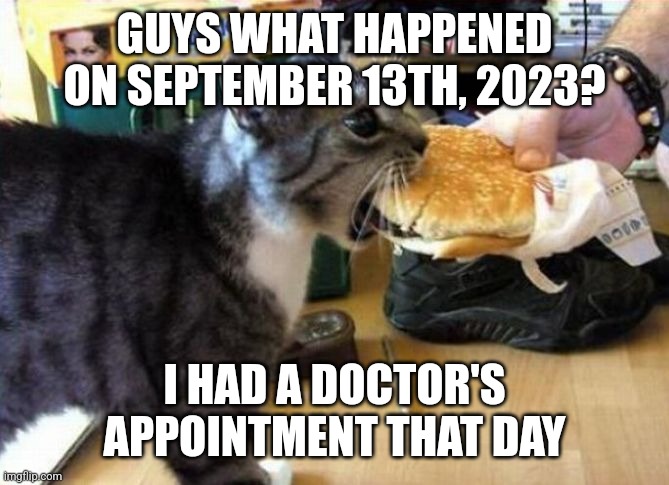 What happend? | GUYS WHAT HAPPENED ON SEPTEMBER 13TH, 2023? I HAD A DOCTOR'S APPOINTMENT THAT DAY | image tagged in cheeseburger cat | made w/ Imgflip meme maker