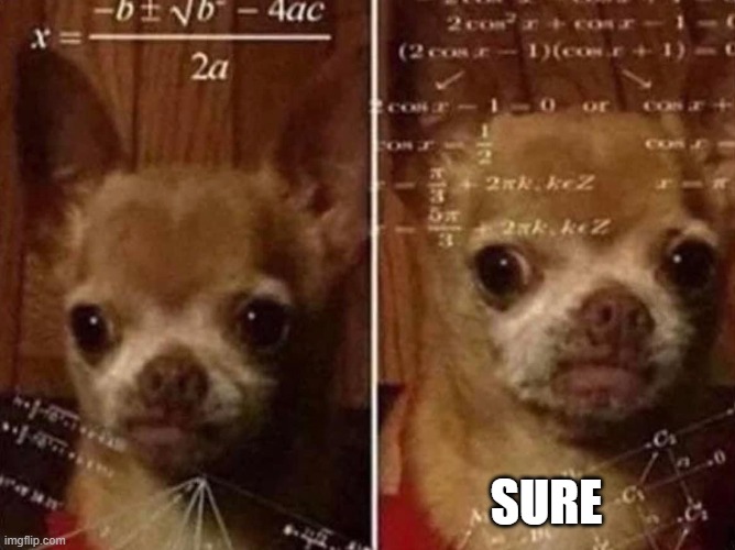 Dog math | SURE | image tagged in dog math | made w/ Imgflip meme maker