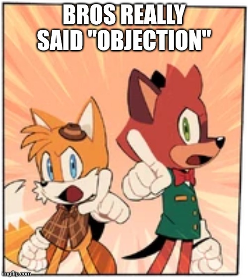 Tails and Barry | BROS REALLY SAID "OBJECTION" | image tagged in tails and barry | made w/ Imgflip meme maker