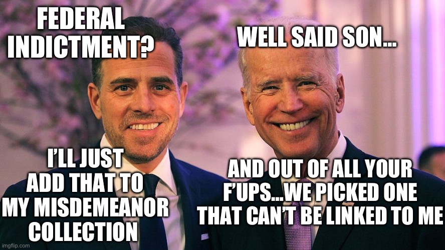 WELL SAID SON…; FEDERAL INDICTMENT? I’LL JUST ADD THAT TO MY MISDEMEANOR COLLECTION; AND OUT OF ALL YOUR F’UPS…WE PICKED ONE THAT CAN’T BE LINKED TO ME | image tagged in joe biden,hunter biden,maga,republicans,gop,donald trump | made w/ Imgflip meme maker