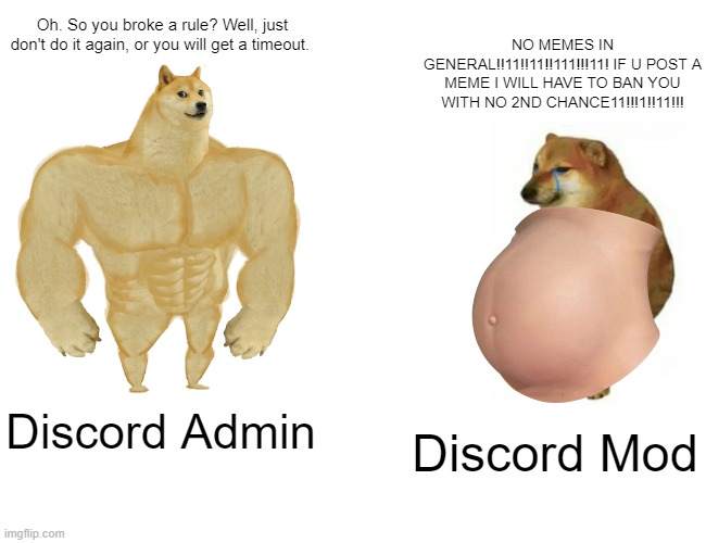 discord admin vs discord mod | Oh. So you broke a rule? Well, just don't do it again, or you will get a timeout. NO MEMES IN GENERAL!!11!!11!!111!!!11! IF U POST A MEME I WILL HAVE TO BAN YOU WITH NO 2ND CHANCE11!!!1!!11!!! Discord Admin; Discord Mod | image tagged in memes,buff doge vs cheems,discord,discord moderator,discord admin,buff doge vs crying cheems | made w/ Imgflip meme maker