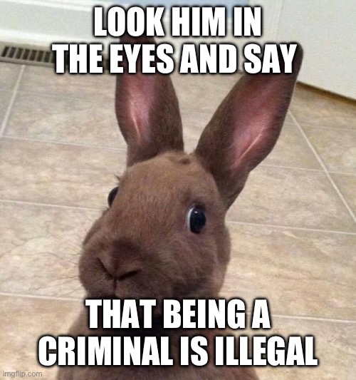 Black balls gaming | LOOK HIM IN THE EYES AND SAY; THAT BEING A CRIMINAL IS ILLEGAL | image tagged in really rabbit | made w/ Imgflip meme maker