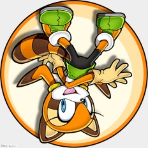 Flipped her upside down because Marine is canonically Australian | image tagged in marine the raccoon | made w/ Imgflip meme maker