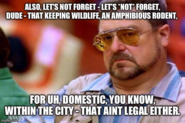 Walter The Big Lebowski | ALSO, LET'S NOT FORGET - LET'S *NOT* FORGET, DUDE - THAT KEEPING WILDLIFE, AN AMPHIBIOUS RODENT, FOR UH, DOMESTIC, YOU KNOW, WITHIN THE CITY - THAT AINT LEGAL EITHER. | image tagged in walter the big lebowski | made w/ Imgflip meme maker