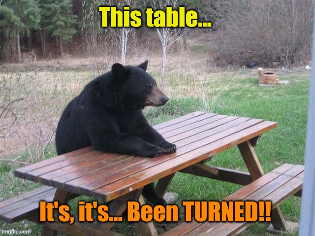 bear picnic table | This table... It's, it's... Been TURNED!! | image tagged in bear picnic table | made w/ Imgflip meme maker