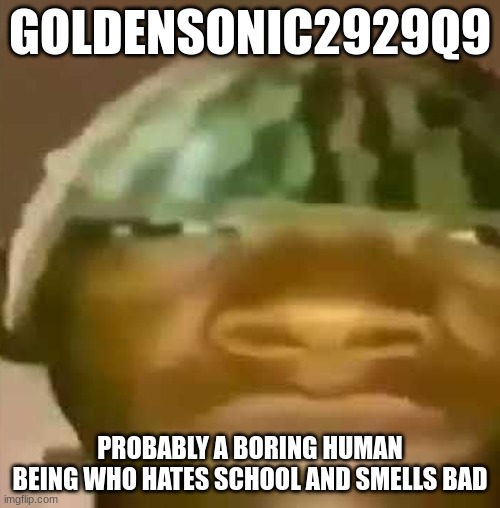 Crap Post 1: GoldenSonic2929q9 | GOLDENSONIC2929Q9; PROBABLY A BORING HUMAN BEING WHO HATES SCHOOL AND SMELLS BAD | image tagged in shitpost | made w/ Imgflip meme maker