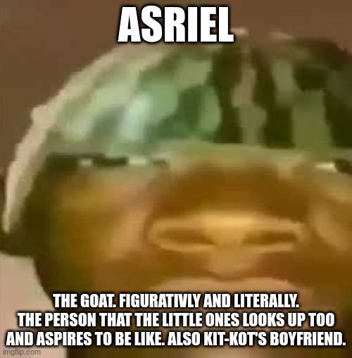 Crap Post 5: Asriel | ASRIEL; THE GOAT. FIGURATIVLY AND LITERALLY. THE PERSON THAT THE LITTLE ONES LOOKS UP TOO AND ASPIRES TO BE LIKE. ALSO KIT-KOT'S BOYFRIEND. | image tagged in shitpost | made w/ Imgflip meme maker