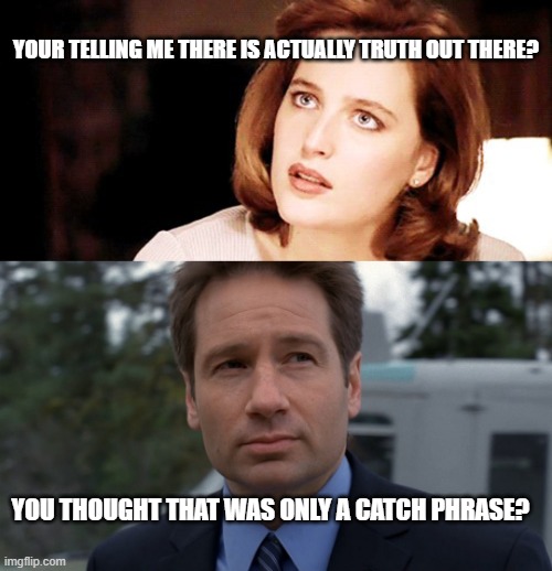 X-Files | YOUR TELLING ME THERE IS ACTUALLY TRUTH OUT THERE? YOU THOUGHT THAT WAS ONLY A CATCH PHRASE? | image tagged in the truth is out there | made w/ Imgflip meme maker