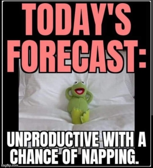 Kermit | image tagged in productivity,nap | made w/ Imgflip meme maker