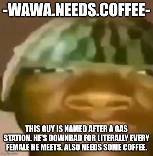Crap Post 10: -Wawa.Needs.Coffee- | -WAWA.NEEDS.COFFEE-; THIS GUY IS NAMED AFTER A GAS STATION. HE'S DOWNBAD FOR LITERALLY EVERY FEMALE HE MEETS. ALSO NEEDS SOME COFFEE. | image tagged in shitpost | made w/ Imgflip meme maker