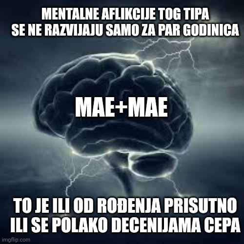 MENTALNE AFLIKCIJE TOG TIPA SE NE RAZVIJAJU SAMO ZA PAR GODINICA; MAE+MAE; TO JE ILI OD ROĐENJA PRISUTNO ILI SE POLAKO DECENIJAMA CEPA | made w/ Imgflip meme maker