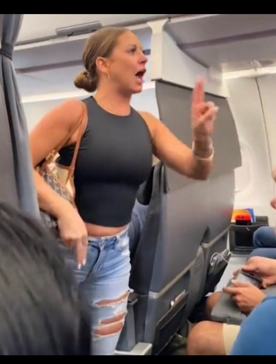 Plane lady Blank Meme Template