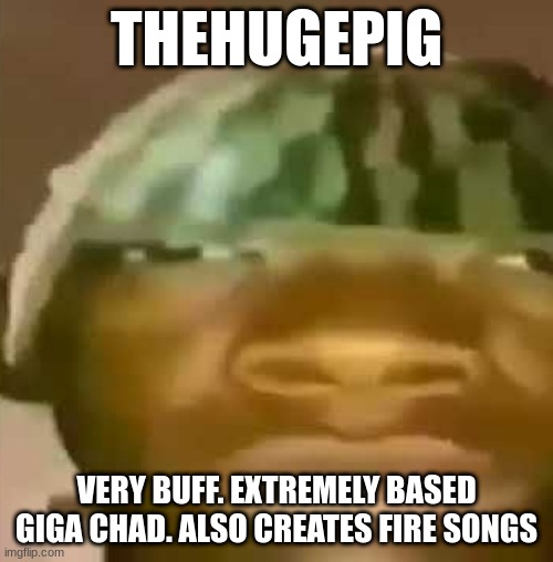 Crap Post 15: TheLarge/Huge/BigPig (2.0) | THEHUGEPIG; VERY BUFF. EXTREMELY BASED GIGA CHAD. ALSO CREATES FIRE SONGS | image tagged in shitpost | made w/ Imgflip meme maker