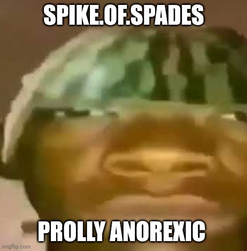 shitpost | SPIKE.OF.SPADES; PROLLY ANOREXIC | image tagged in shitpost | made w/ Imgflip meme maker