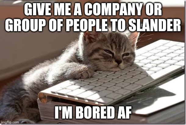 Bored Keyboard Cat | GIVE ME A COMPANY OR GROUP OF PEOPLE TO SLANDER; I'M BORED AF | image tagged in bored keyboard cat | made w/ Imgflip meme maker