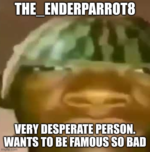 Crap Post 16: The_enderparrot8 | THE_ENDERPARROT8; VERY DESPERATE PERSON. WANTS TO BE FAMOUS SO BAD | image tagged in shitpost | made w/ Imgflip meme maker