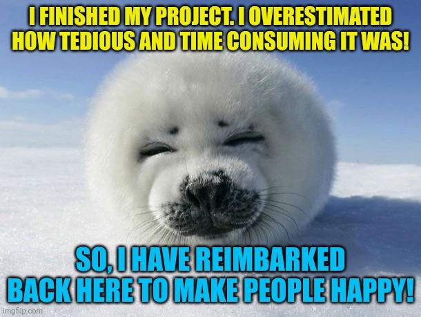 Seal Of Approval | I FINISHED MY PROJECT. I OVERESTIMATED HOW TEDIOUS AND TIME CONSUMING IT WAS! SO, I HAVE REIMBARKED BACK HERE TO MAKE PEOPLE HAPPY! | image tagged in seal of approval | made w/ Imgflip meme maker