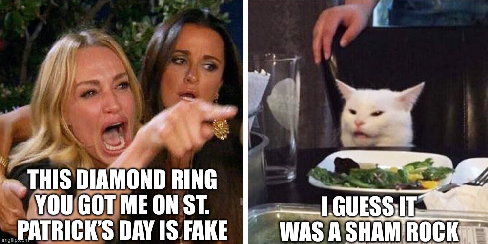 Smudge the cat | THIS DIAMOND RING YOU GOT ME ON ST. PATRICK’S DAY IS FAKE; I GUESS IT WAS A SHAM ROCK | image tagged in smudge the cat | made w/ Imgflip meme maker