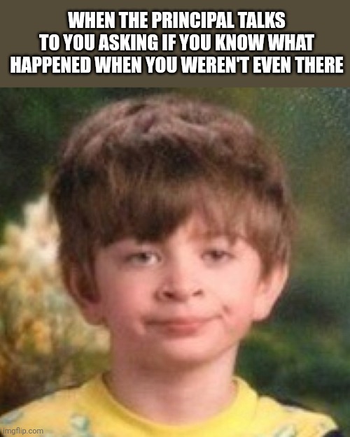 Annoyed face | WHEN THE PRINCIPAL TALKS TO YOU ASKING IF YOU KNOW WHAT HAPPENED WHEN YOU WEREN'T EVEN THERE | image tagged in annoyed face | made w/ Imgflip meme maker