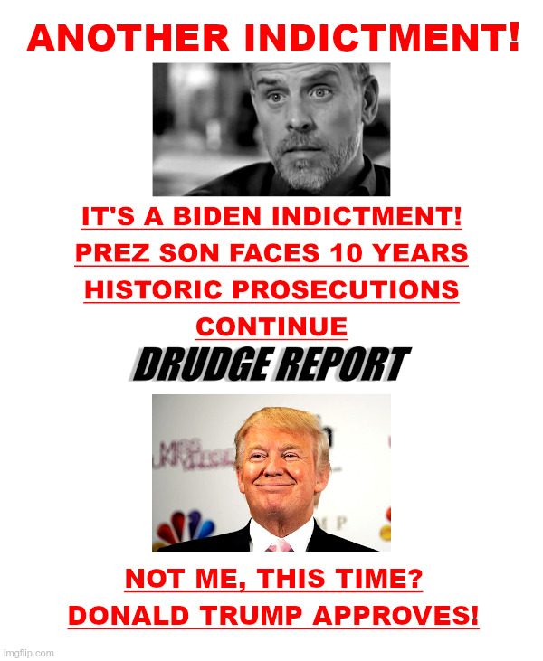 Another Indictment! Donald Trump Approves! | image tagged in hunter biden,indictment,cocaine,gun,felony,donald trump approves | made w/ Imgflip meme maker
