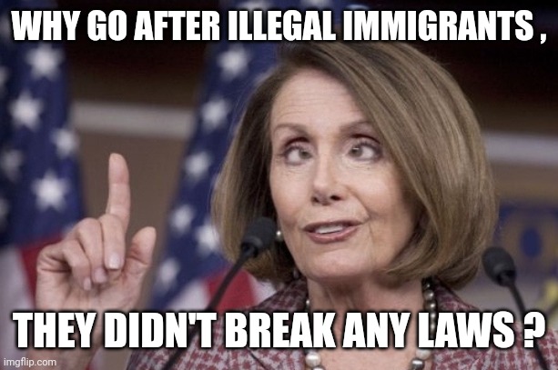 Nancy pelosi | WHY GO AFTER ILLEGAL IMMIGRANTS , THEY DIDN'T BREAK ANY LAWS ? | image tagged in nancy pelosi | made w/ Imgflip meme maker