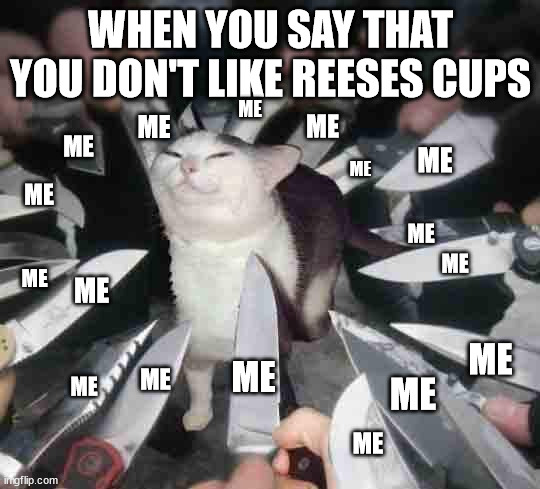 Knife Cat | WHEN YOU SAY THAT YOU DON'T LIKE REESES CUPS; ME; ME; ME; ME; ME; ME; ME; ME; ME; ME; ME; ME; ME; ME; ME; ME; ME | image tagged in knife cat | made w/ Imgflip meme maker