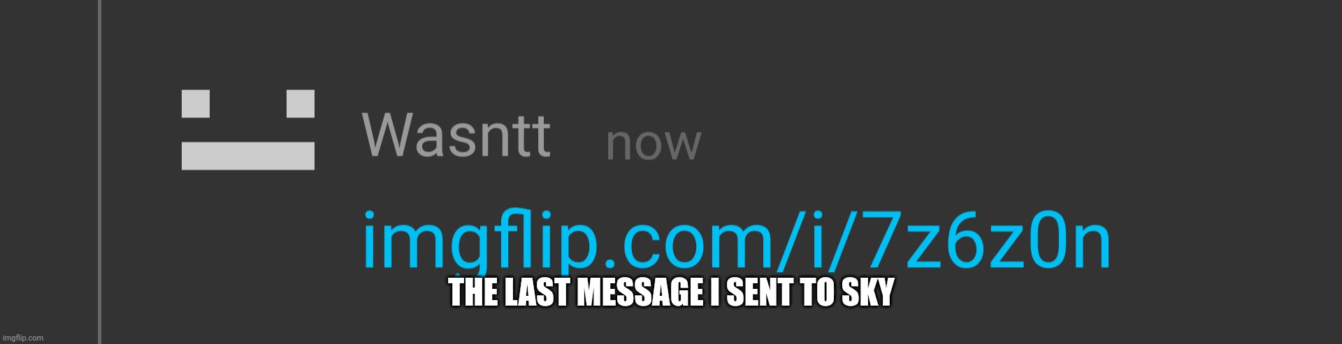 THE LAST MESSAGE I SENT TO SKY | made w/ Imgflip meme maker