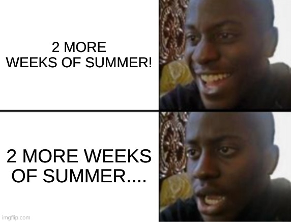 Oh yeah! Oh no... | 2 MORE WEEKS OF SUMMER! 2 MORE WEEKS OF SUMMER.... | image tagged in oh yeah oh no | made w/ Imgflip meme maker